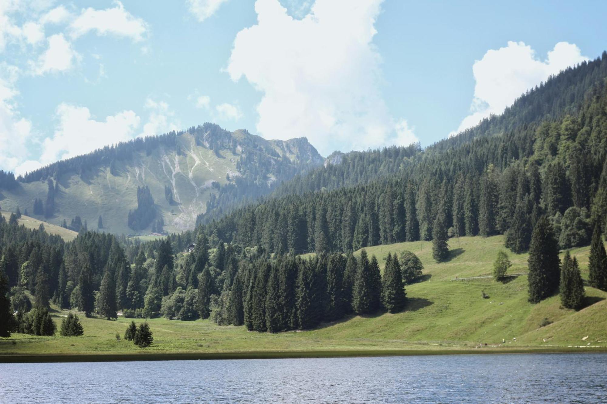 Ferienwohnung "Seeruhe" - Berge, See Und Natur Am Spitzingsee شليرسي المظهر الخارجي الصورة